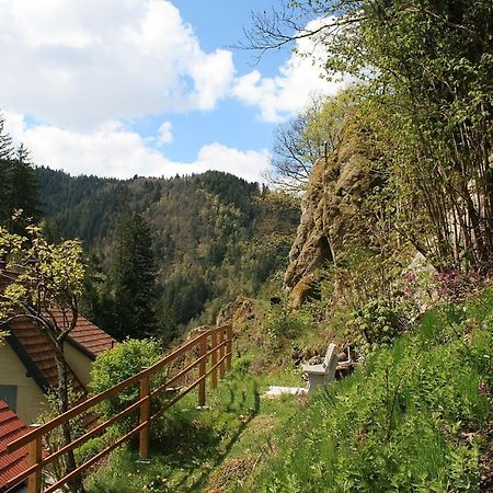 Вілла Haus Am Waldrand Triberg im Schwarzwald Екстер'єр фото