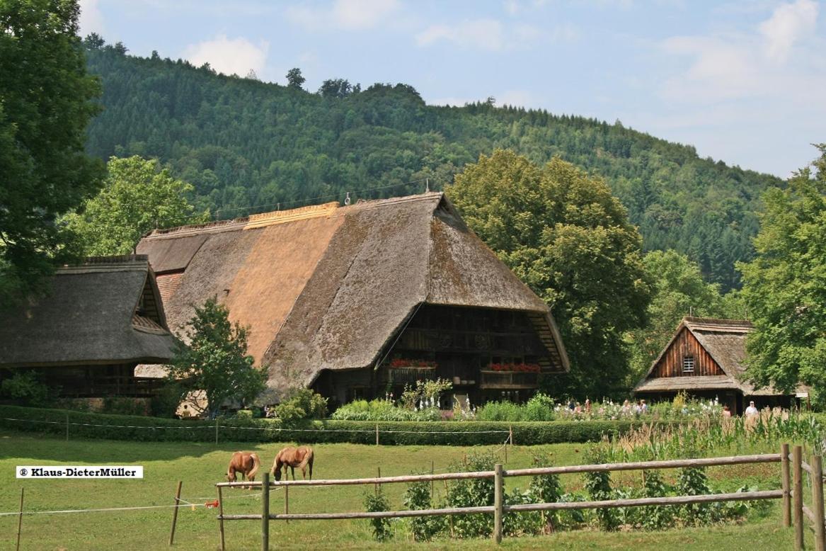 Вілла Haus Am Waldrand Triberg im Schwarzwald Екстер'єр фото