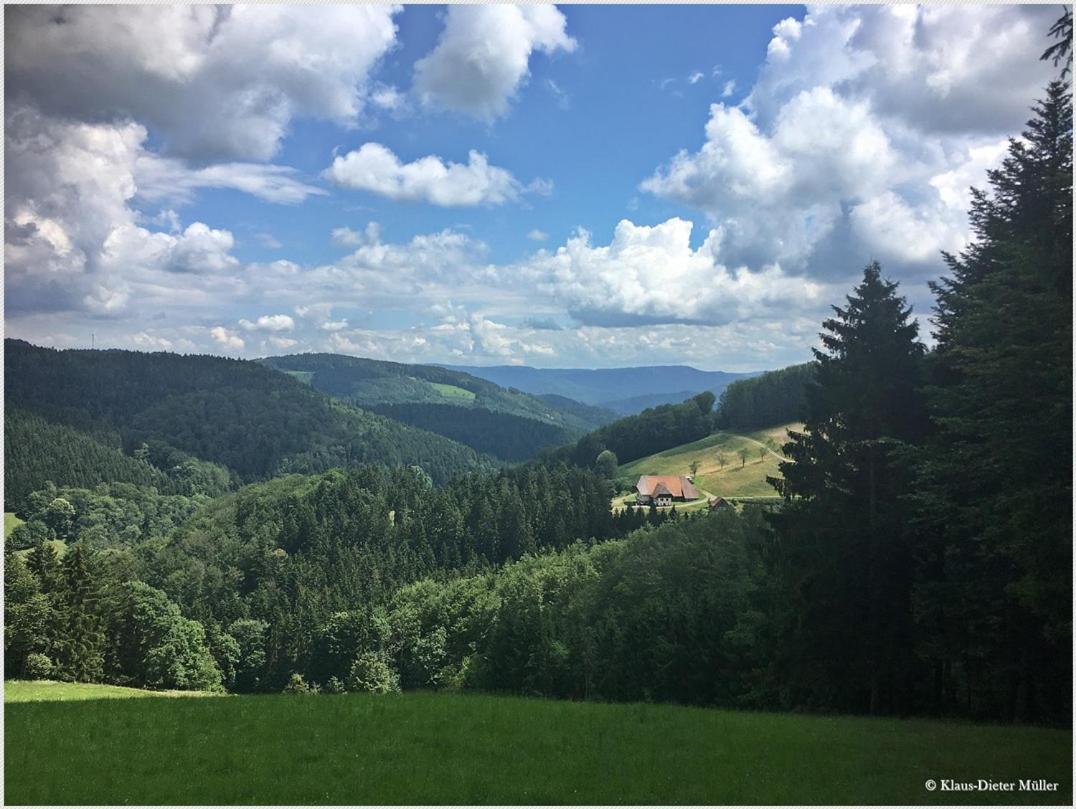 Вілла Haus Am Waldrand Triberg im Schwarzwald Екстер'єр фото