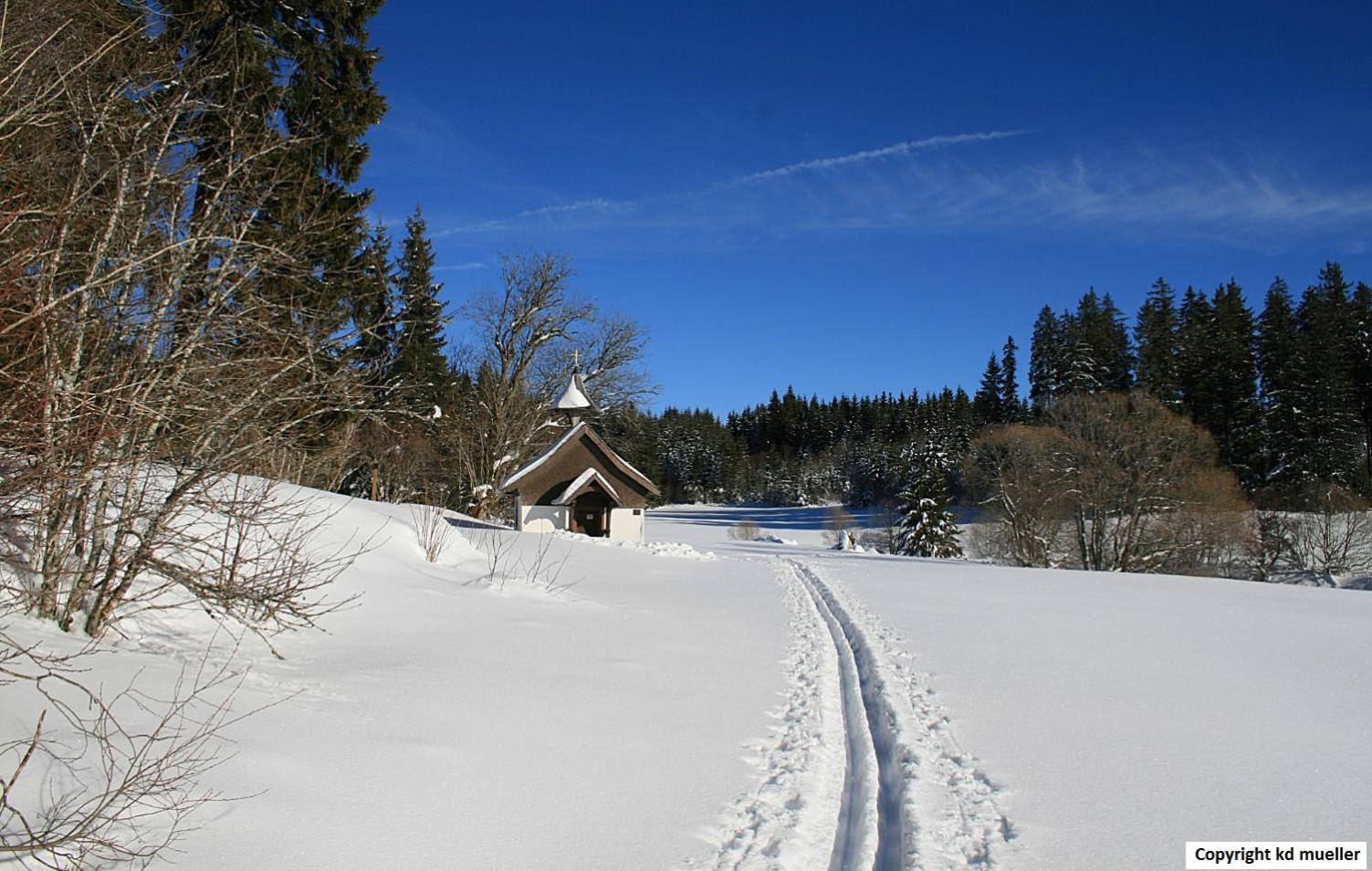 Вілла Haus Am Waldrand Triberg im Schwarzwald Екстер'єр фото