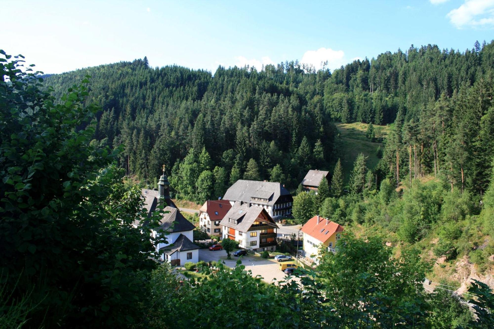 Вілла Haus Am Waldrand Triberg im Schwarzwald Екстер'єр фото