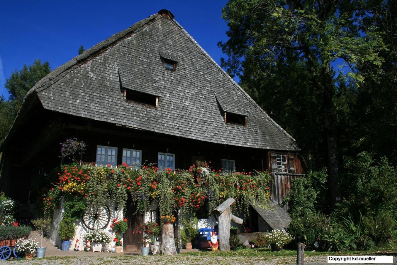 Вілла Haus Am Waldrand Triberg im Schwarzwald Екстер'єр фото