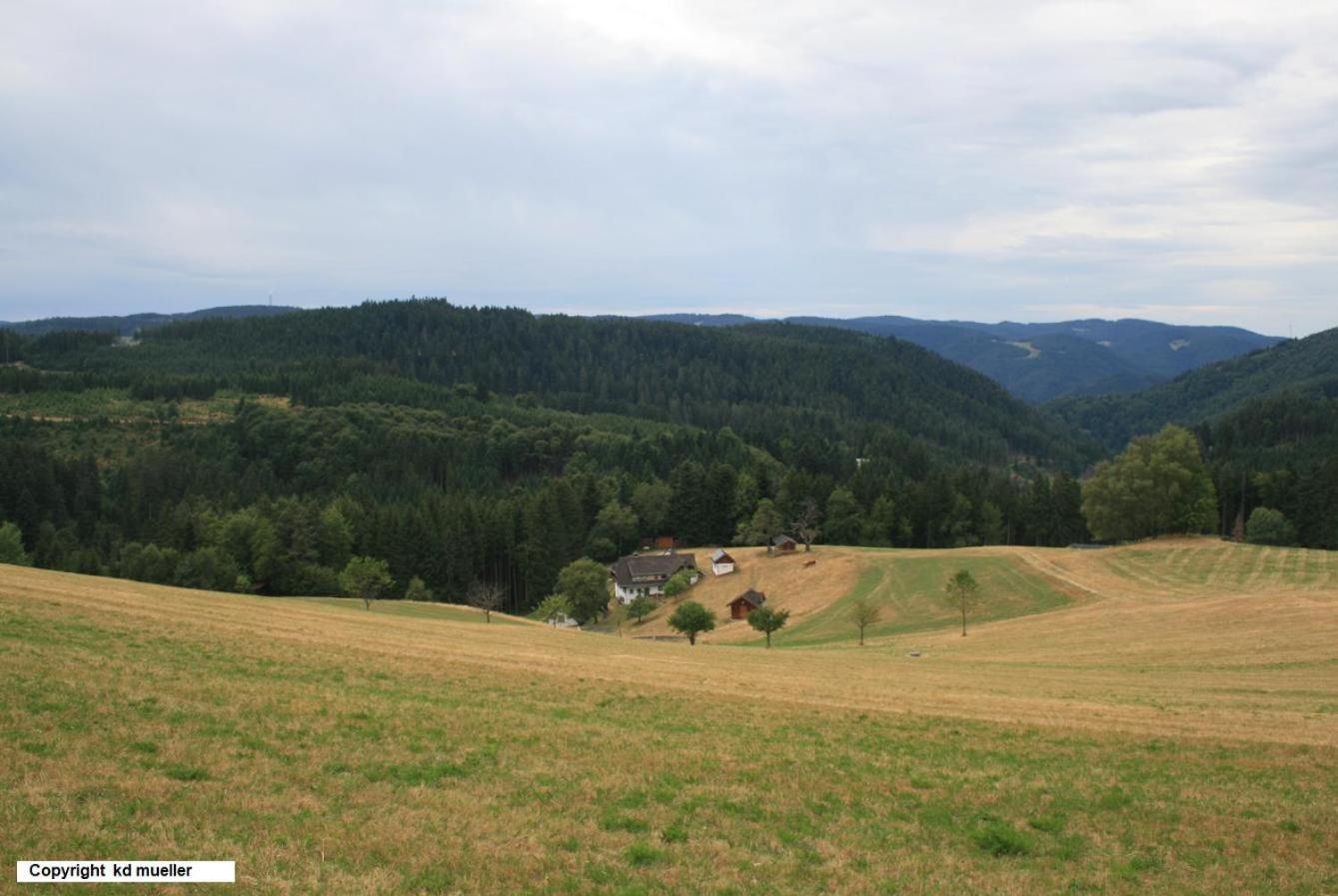 Вілла Haus Am Waldrand Triberg im Schwarzwald Екстер'єр фото