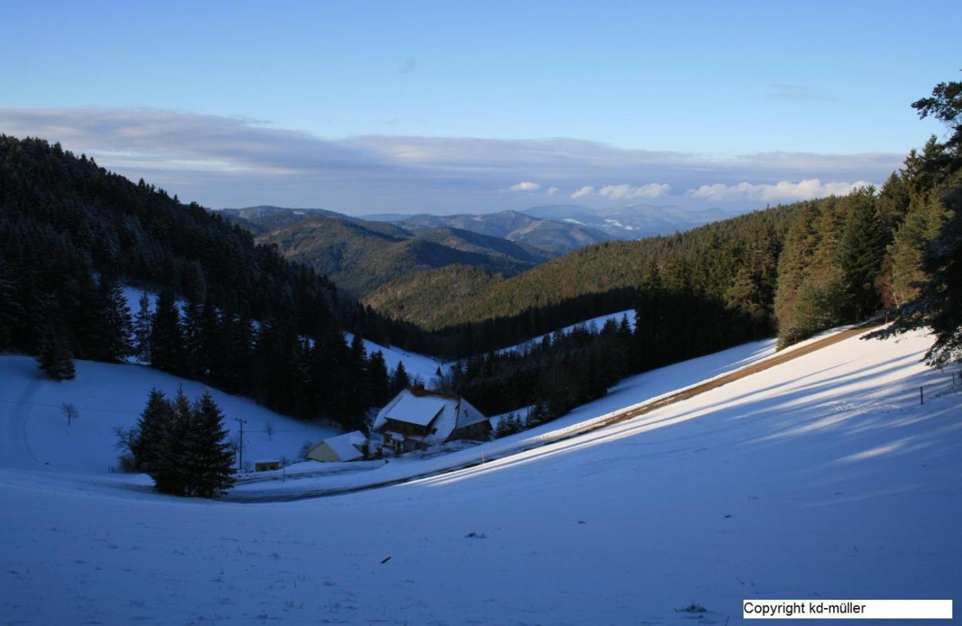 Вілла Haus Am Waldrand Triberg im Schwarzwald Екстер'єр фото