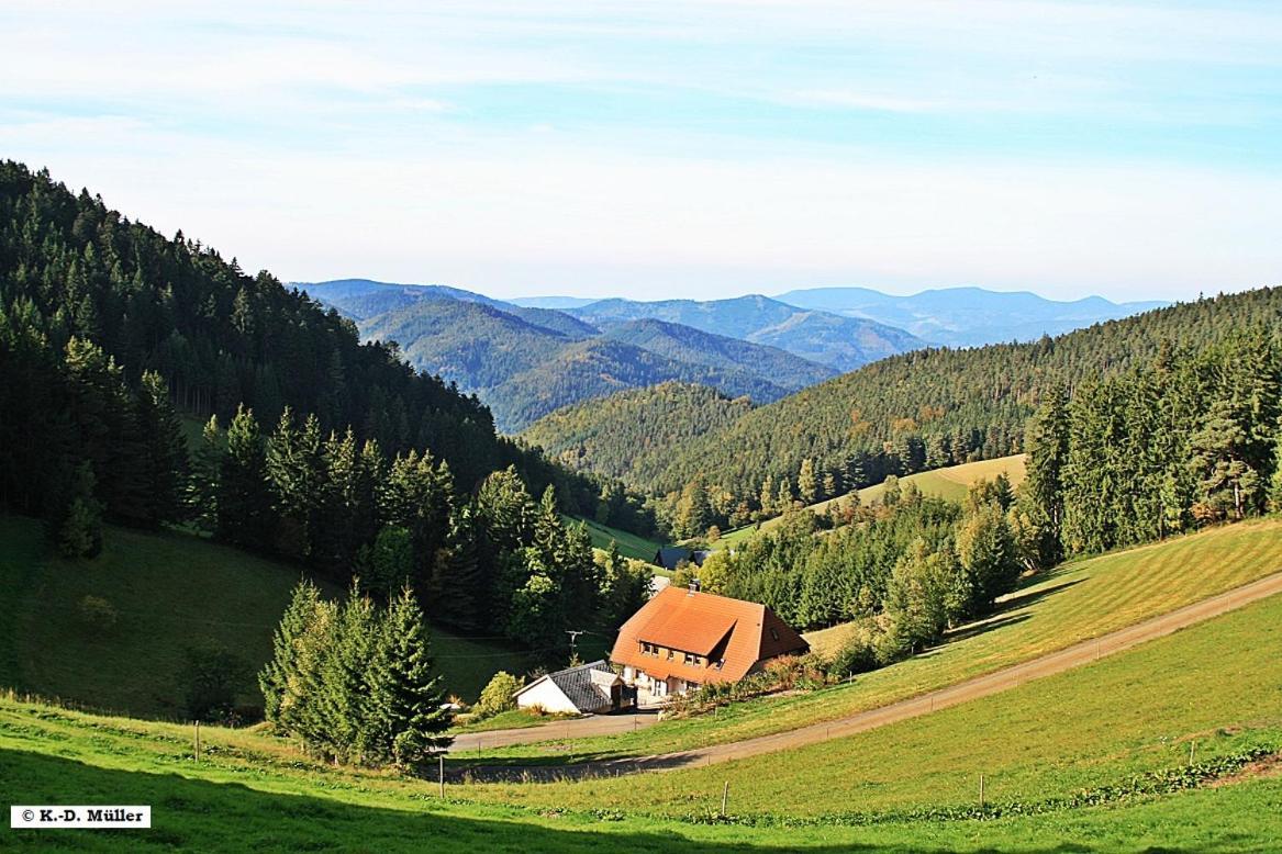 Вілла Haus Am Waldrand Triberg im Schwarzwald Екстер'єр фото