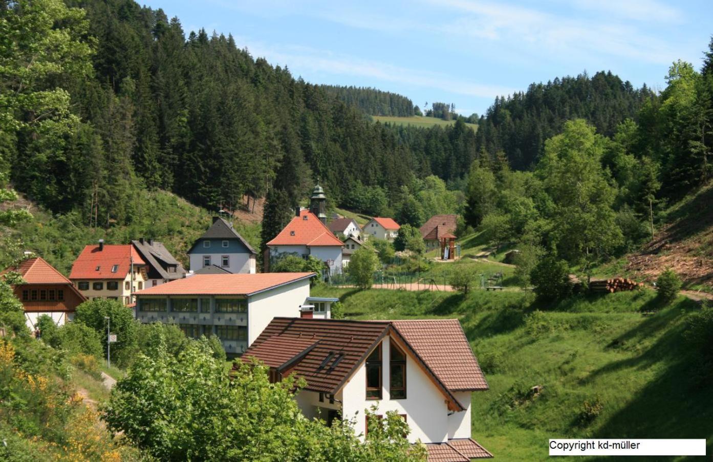 Вілла Haus Am Waldrand Triberg im Schwarzwald Екстер'єр фото