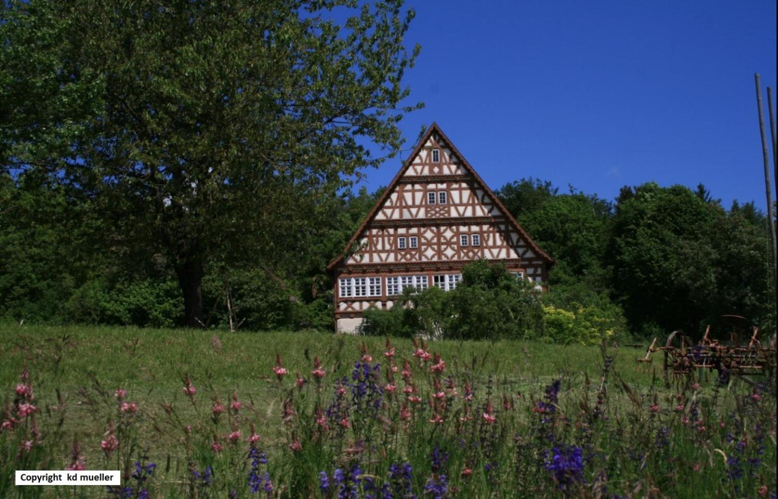 Вілла Haus Am Waldrand Triberg im Schwarzwald Екстер'єр фото