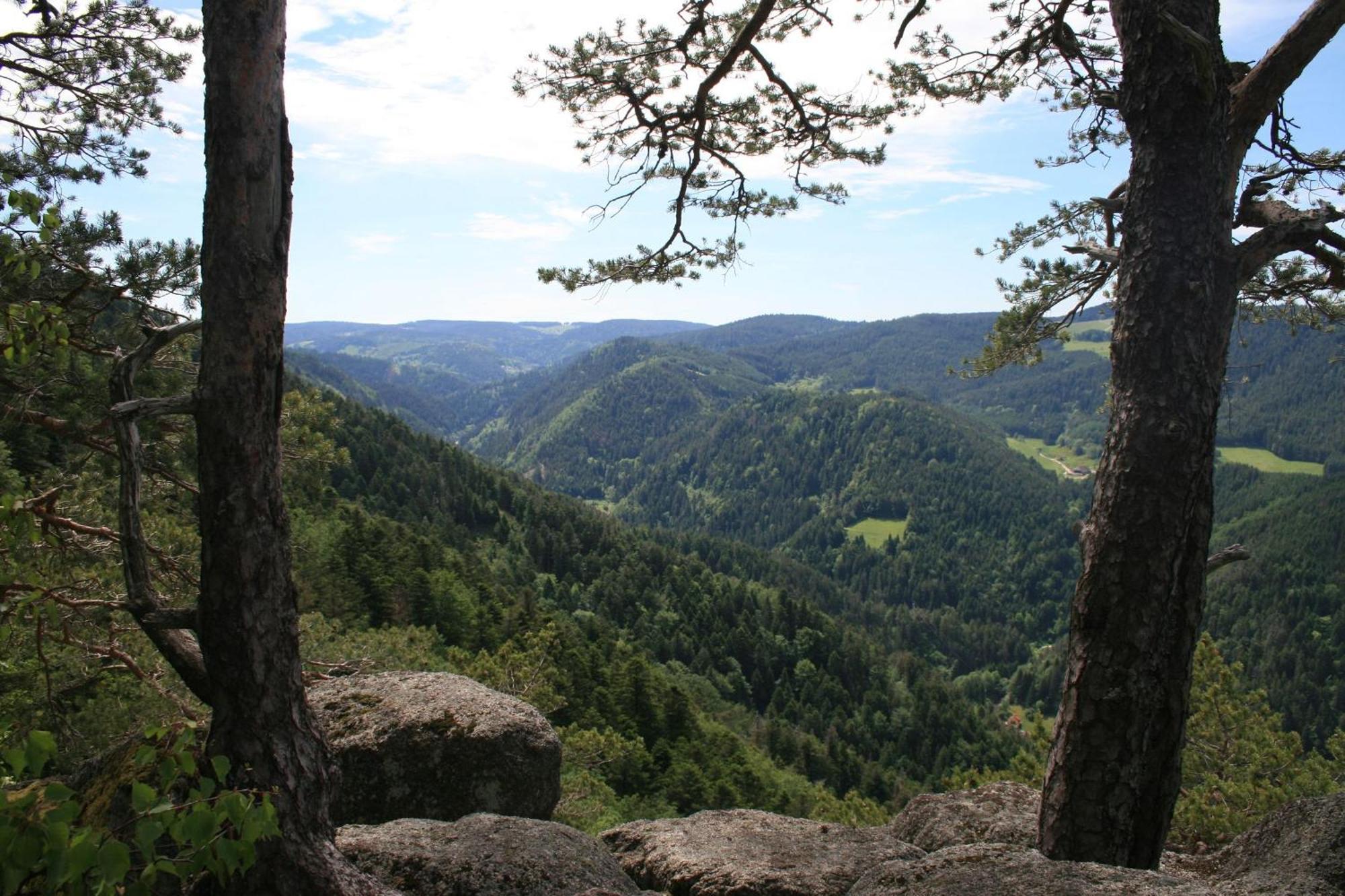 Вілла Haus Am Waldrand Triberg im Schwarzwald Екстер'єр фото