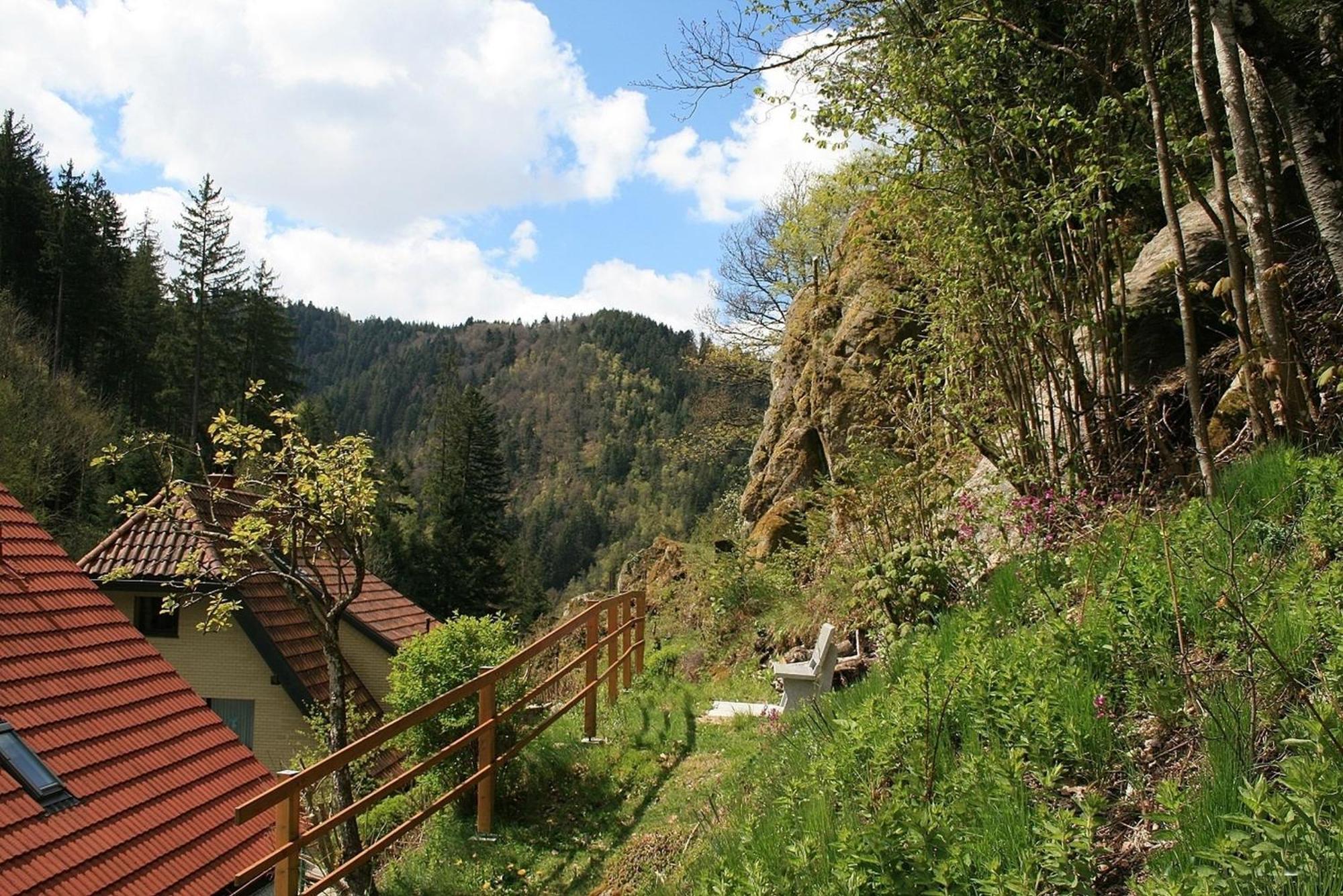 Вілла Haus Am Waldrand Triberg im Schwarzwald Екстер'єр фото