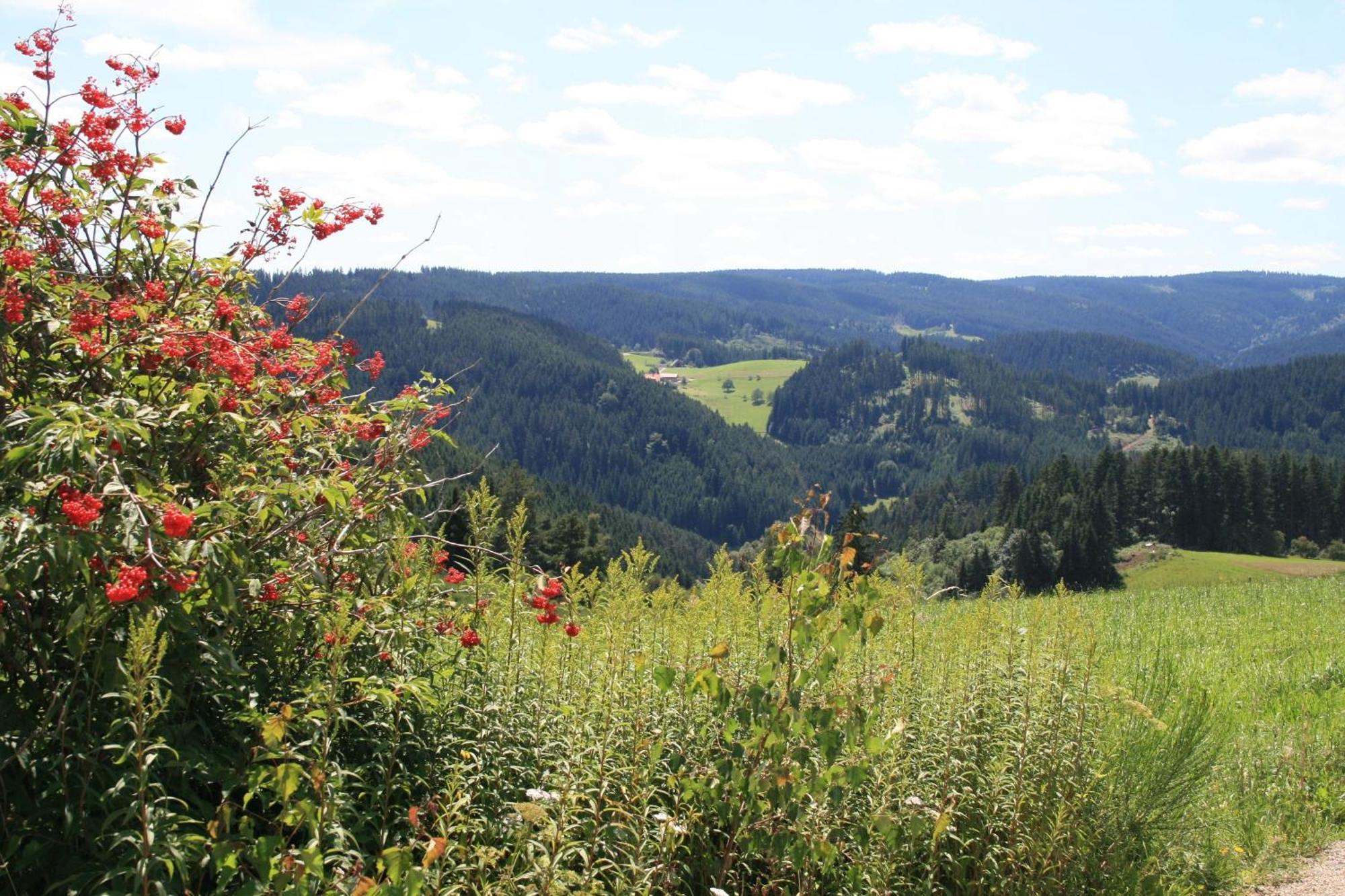 Вілла Haus Am Waldrand Triberg im Schwarzwald Екстер'єр фото
